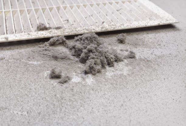 Best Air Duct Cleaning Near Me  in Clarkston, WA
