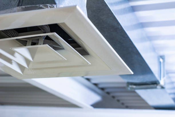 Best Air Duct Mold Removal  in Clarkston, WA